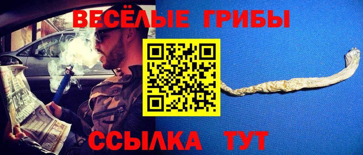 Галлюциногенные грибы мухоморы Кыштым